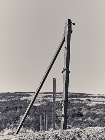 Totem 4 © George Logan